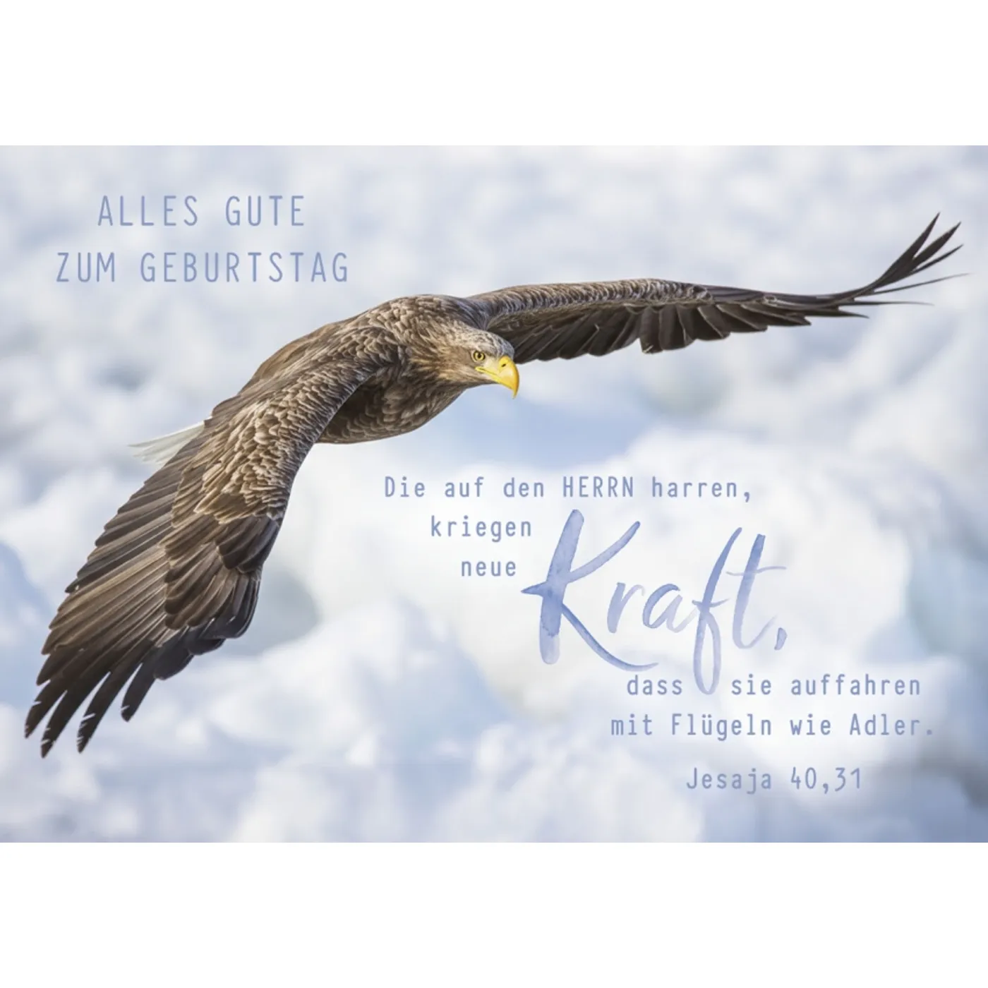 Faltkarte: Alles Gute zum Geburtstag (Adler)