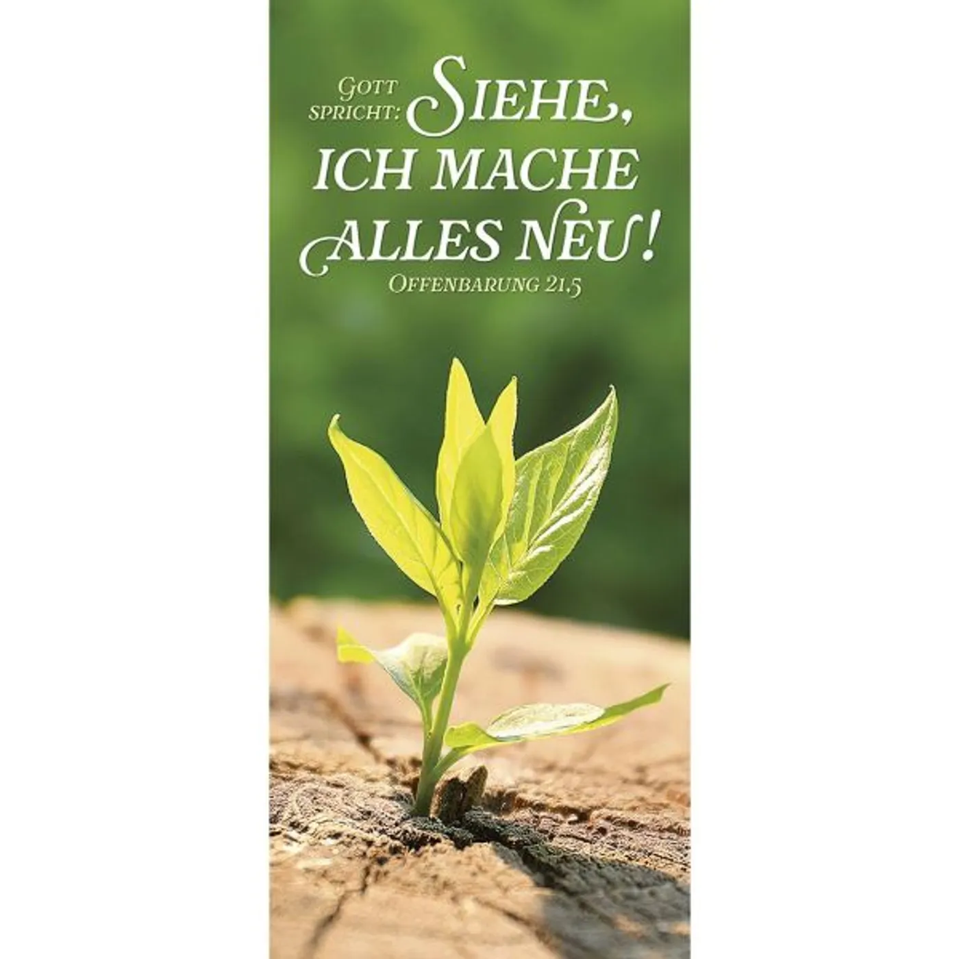 Jahreslosung 2026 - Lesezeichen , 24 Stück