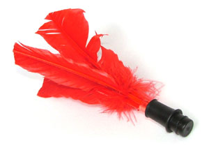 Indiaca-Federn Indiaca-Federn